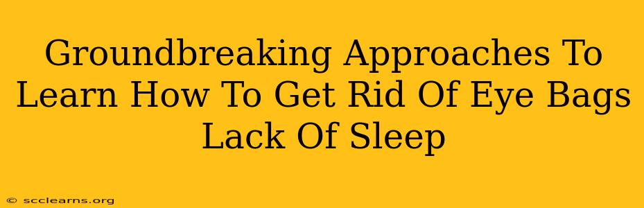 Groundbreaking Approaches To Learn How To Get Rid Of Eye Bags Lack Of Sleep