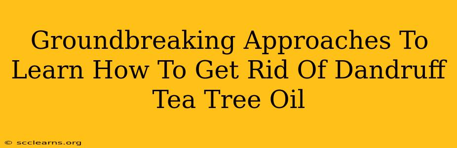 Groundbreaking Approaches To Learn How To Get Rid Of Dandruff Tea Tree Oil