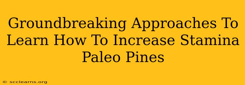 Groundbreaking Approaches To Learn How To Increase Stamina Paleo Pines