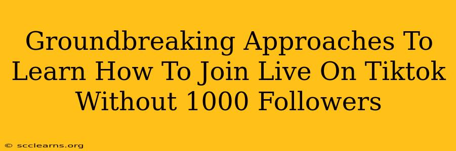 Groundbreaking Approaches To Learn How To Join Live On Tiktok Without 1000 Followers