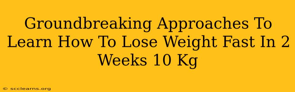 Groundbreaking Approaches To Learn How To Lose Weight Fast In 2 Weeks 10 Kg