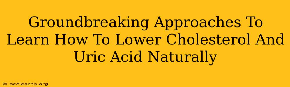 Groundbreaking Approaches To Learn How To Lower Cholesterol And Uric Acid Naturally