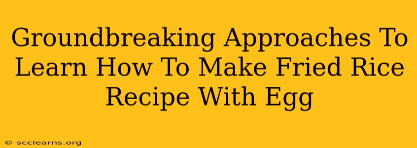 Groundbreaking Approaches To Learn How To Make Fried Rice Recipe With Egg