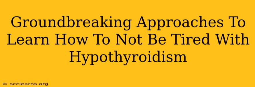 Groundbreaking Approaches To Learn How To Not Be Tired With Hypothyroidism