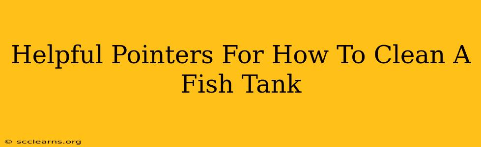 Helpful Pointers For How To Clean A Fish Tank