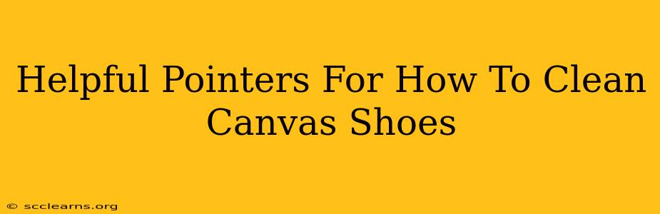 Helpful Pointers For How To Clean Canvas Shoes