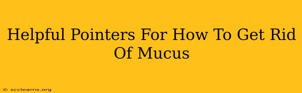 Helpful Pointers For How To Get Rid Of Mucus