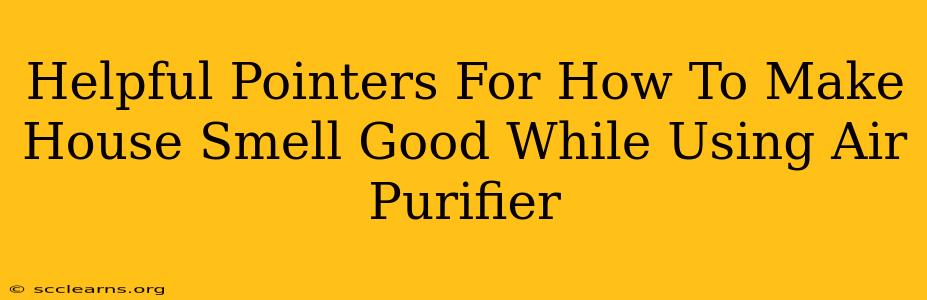 Helpful Pointers For How To Make House Smell Good While Using Air Purifier