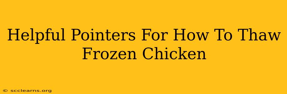 Helpful Pointers For How To Thaw Frozen Chicken