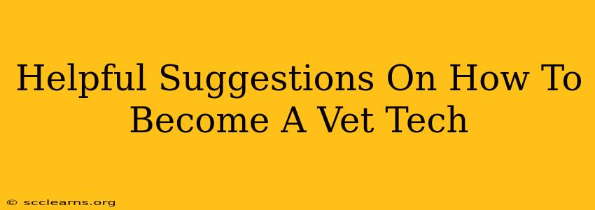 Helpful Suggestions On How To Become A Vet Tech