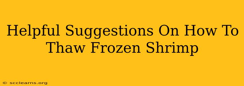 Helpful Suggestions On How To Thaw Frozen Shrimp