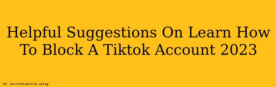 Helpful Suggestions On Learn How To Block A Tiktok Account 2023