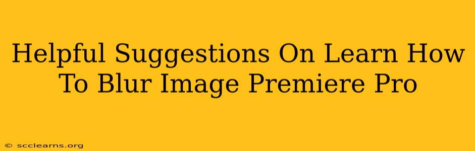 Helpful Suggestions On Learn How To Blur Image Premiere Pro
