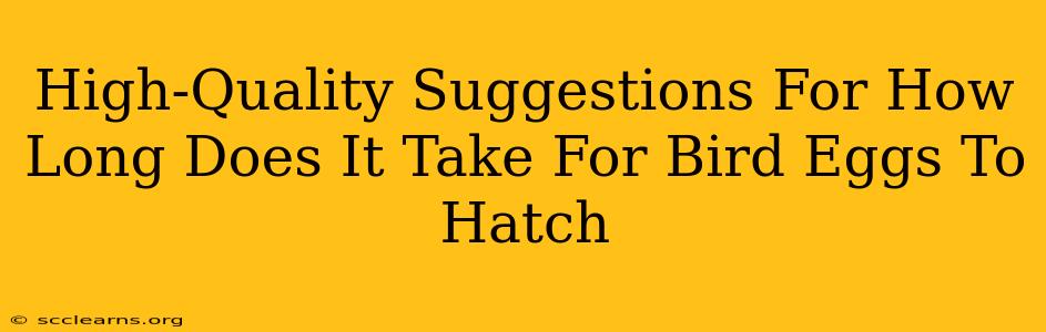 High-Quality Suggestions For How Long Does It Take For Bird Eggs To Hatch