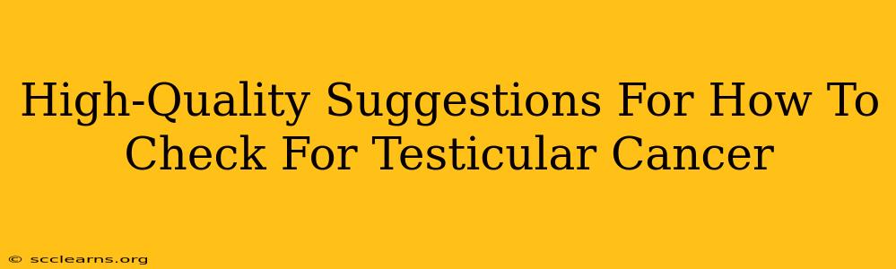 High-Quality Suggestions For How To Check For Testicular Cancer