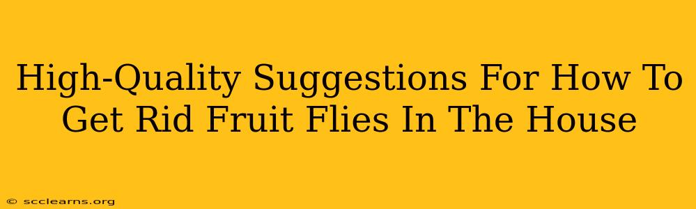 High-Quality Suggestions For How To Get Rid Fruit Flies In The House