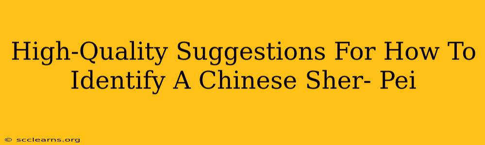 High-Quality Suggestions For How To Identify A Chinese Sher- Pei