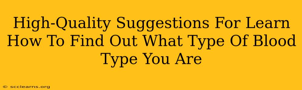 High-Quality Suggestions For Learn How To Find Out What Type Of Blood Type You Are