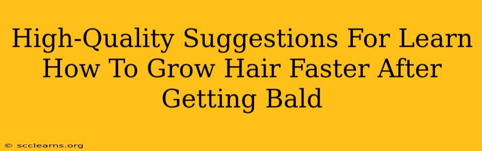 High-Quality Suggestions For Learn How To Grow Hair Faster After Getting Bald