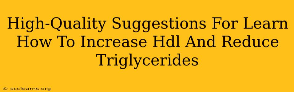 High-Quality Suggestions For Learn How To Increase Hdl And Reduce Triglycerides