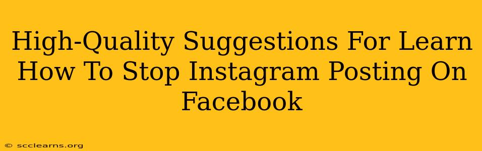 High-Quality Suggestions For Learn How To Stop Instagram Posting On Facebook