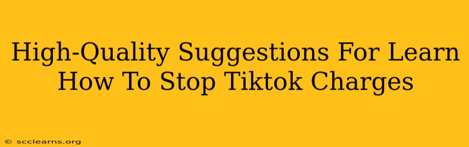 High-Quality Suggestions For Learn How To Stop Tiktok Charges