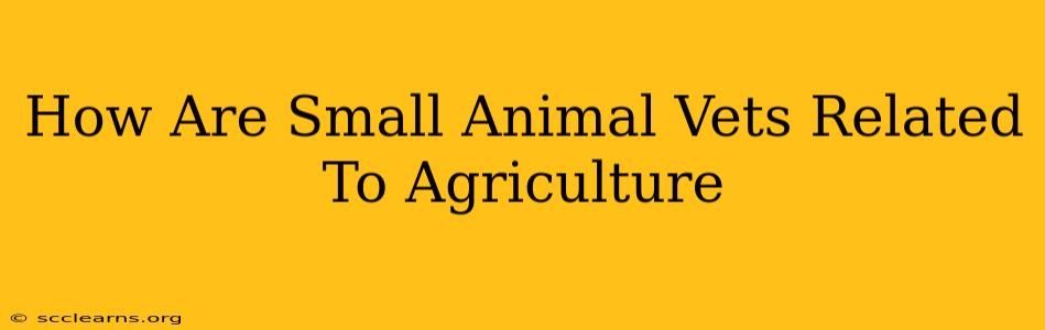 How Are Small Animal Vets Related To Agriculture