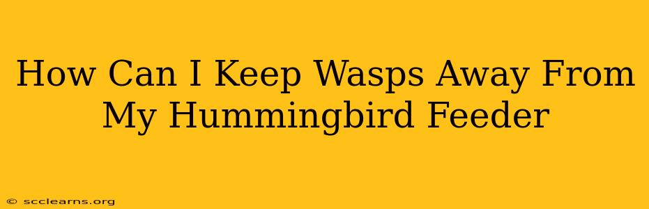 How Can I Keep Wasps Away From My Hummingbird Feeder