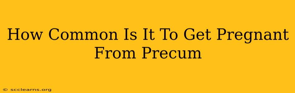 How Common Is It To Get Pregnant From Precum