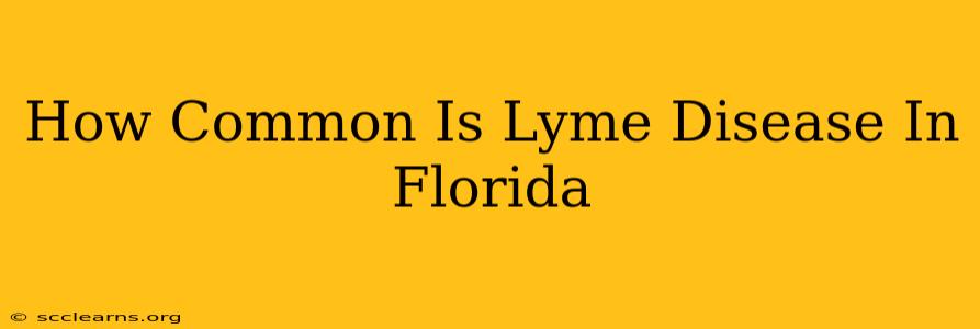 How Common Is Lyme Disease In Florida