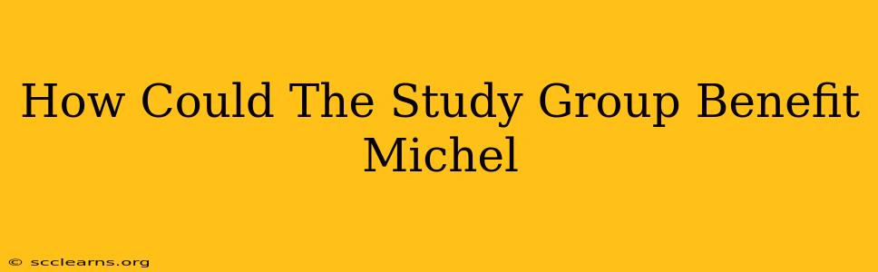 How Could The Study Group Benefit Michel