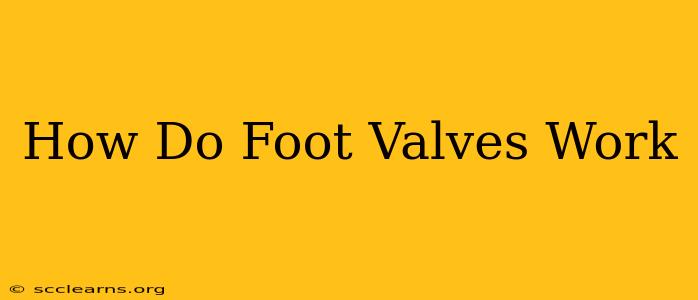 How Do Foot Valves Work