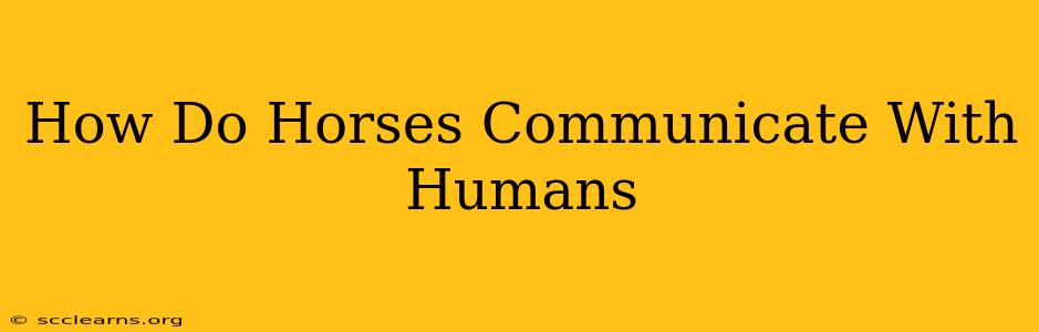 How Do Horses Communicate With Humans