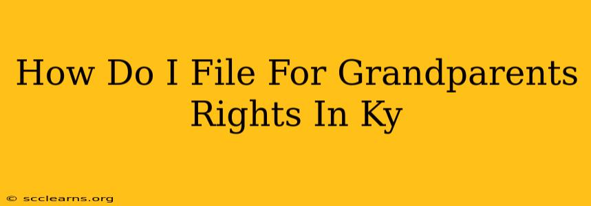 How Do I File For Grandparents Rights In Ky