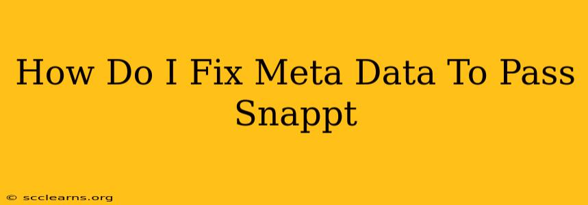 How Do I Fix Meta Data To Pass Snappt