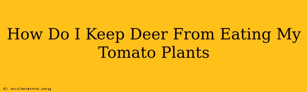 How Do I Keep Deer From Eating My Tomato Plants