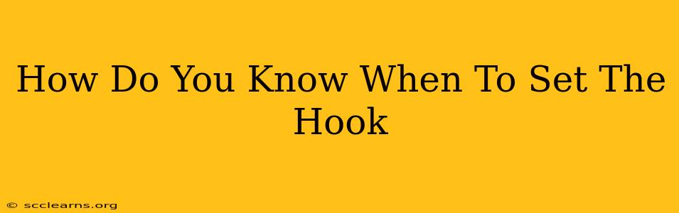 How Do You Know When To Set The Hook