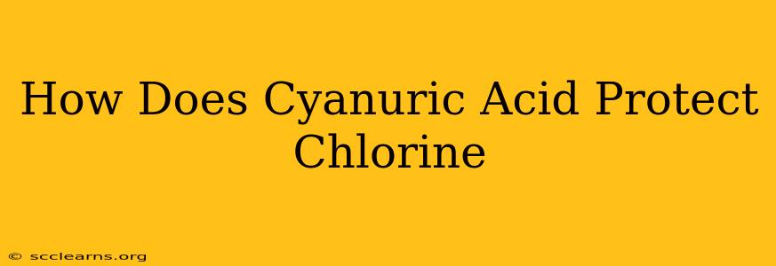 How Does Cyanuric Acid Protect Chlorine