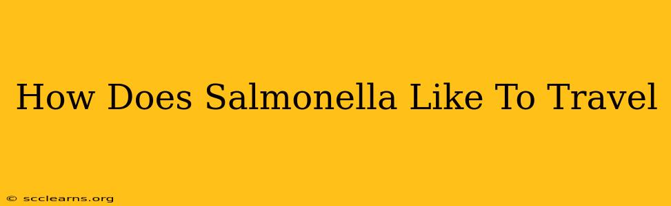 How Does Salmonella Like To Travel