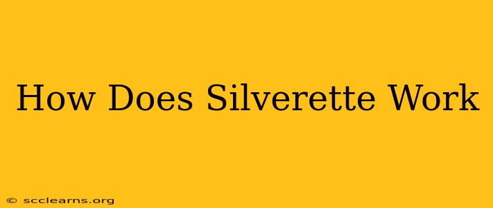 How Does Silverette Work