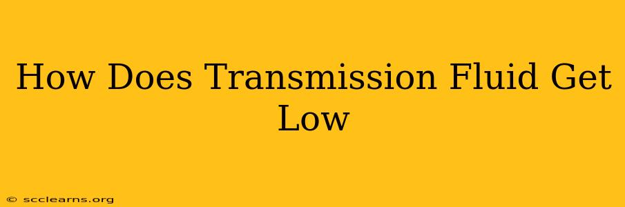 How Does Transmission Fluid Get Low