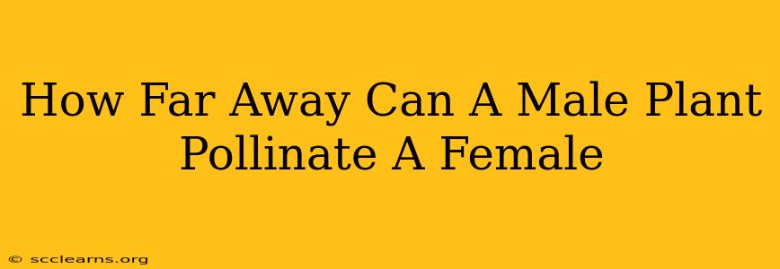 How Far Away Can A Male Plant Pollinate A Female