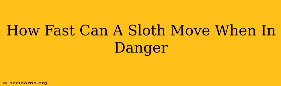 How Fast Can A Sloth Move When In Danger