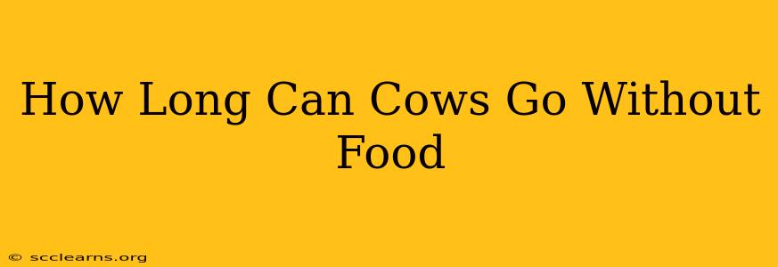 How Long Can Cows Go Without Food