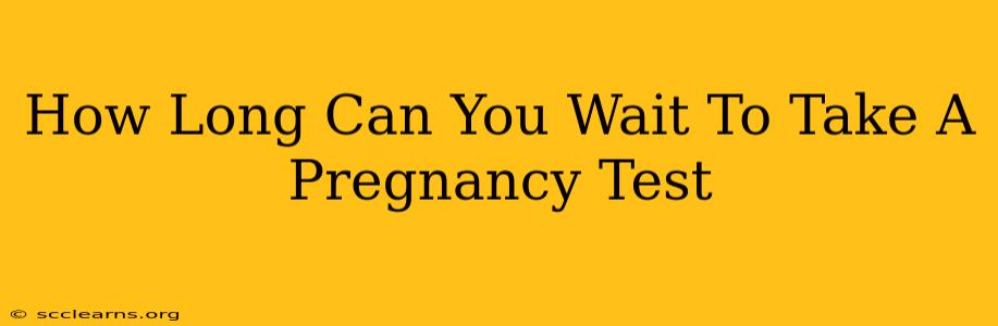 How Long Can You Wait To Take A Pregnancy Test