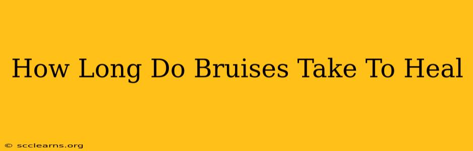 How Long Do Bruises Take To Heal