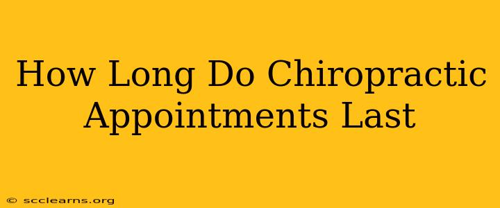 How Long Do Chiropractic Appointments Last