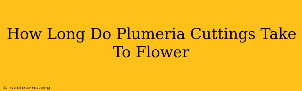 How Long Do Plumeria Cuttings Take To Flower