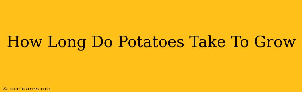 How Long Do Potatoes Take To Grow