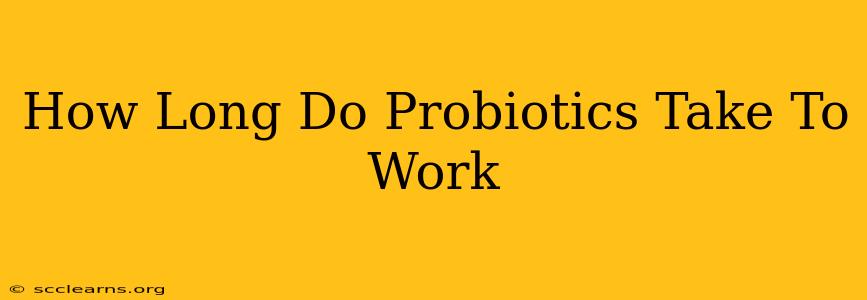 How Long Do Probiotics Take To Work